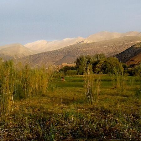 Riad La Fibule Berbere Tabant Εξωτερικό φωτογραφία
