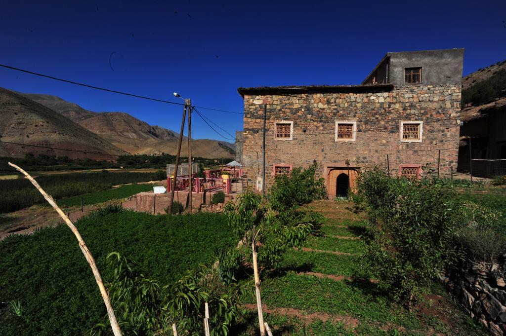 Riad La Fibule Berbere Tabant Εξωτερικό φωτογραφία