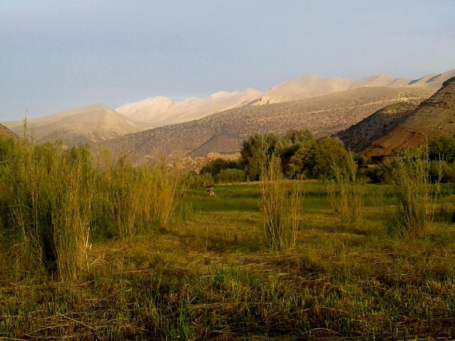 Riad La Fibule Berbere Tabant Εξωτερικό φωτογραφία